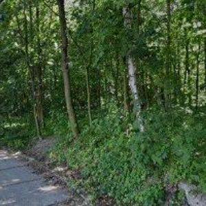 obrazek: avatar PENSION KOLIBA