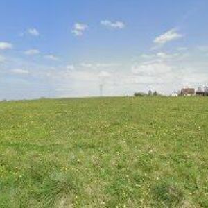 obrazek: avatar MALINOVSKÝ PETR-MULTIGARÁŽE