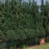 FRÝDLANTSKÁ ZEMĚDĚLSKÁ a.s.