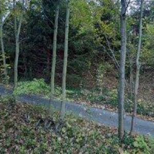 obrazek: avatar BEZRUČOVA CHATA