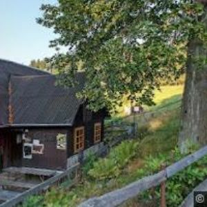 obrazek: avatar DŘEVJANKA U ZBUJA