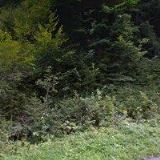 HORSKÁ CHATA VISALAJKA, s.r.o.