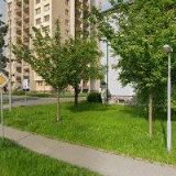 AEROBIC CLUB-BOHUMÍN z.s.