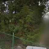 ALFA AUTODOPRAVA s.r.o.