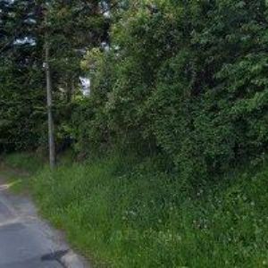 obrazek: avatar AUTODOPRAVA HOMOLA