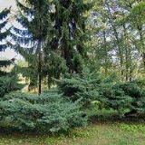 MIHALČÍK IGOR Ing.