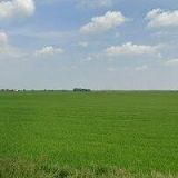 STRAVOVÁNÍ KUČERA s.r.o.