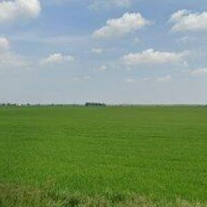 obrazek: avatar STRAVOVÁNÍ KUČERA s.r.o.