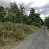 LOSERT-OPAVSKÁ ŠTĚRKOVNA