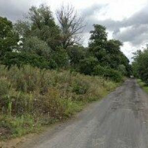 obrazek: avatar LOSERT-OPAVSKÁ ŠTĚRKOVNA