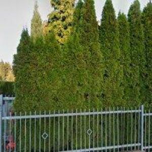 obrazek: avatar BEZVA OBALY s.r.o.