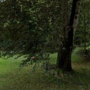 obrazek: avatar MILANO PIZZERIA