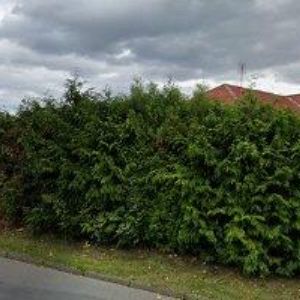 obrazek: avatar MOBILNÍ DOMY KRNOV