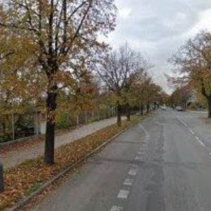 obrazek: avatar RESTAURACE & BOWLING NOVÝ SVĚT