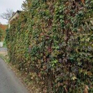 obrazek: avatar JÍDELNA TENA