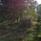 HODEK PETR-TRUHLÁŘSTVÍ