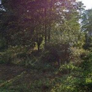 obrazek: avatar HODEK PETR-TRUHLÁŘSTVÍ