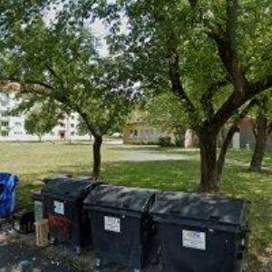 obrazek: avatar U MEDVÍDKA