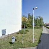 KRÁLÍČEK JINDŘICH