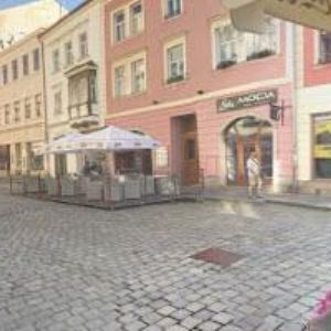 obrazek: avatar RIEGROVKA