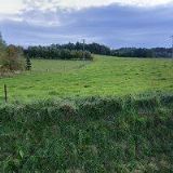 POHOSTINSTVÍ U GURALŮ