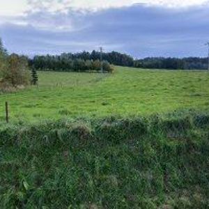 obrazek: avatar POHOSTINSTVÍ U GURALŮ