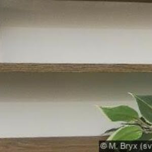 obrazek: avatar VINCENTRUM-VINÁRNA & VINOTÉKA U DÓMU