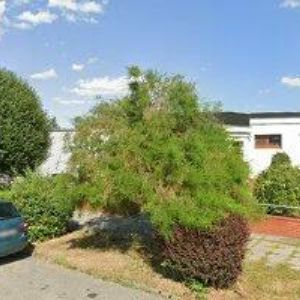 obrazek: avatar RADOVINO s.r.o.