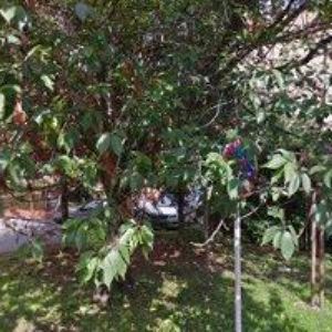 obrazek: avatar SENZA DRUŽSTVO,CHRÁNĚNÁ DÍLNA