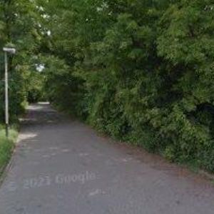 obrazek: avatar ALUSO