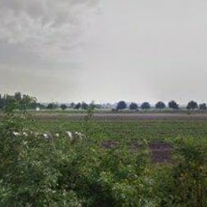 obrazek: avatar KONTEJNERY CETKOVSKÝ