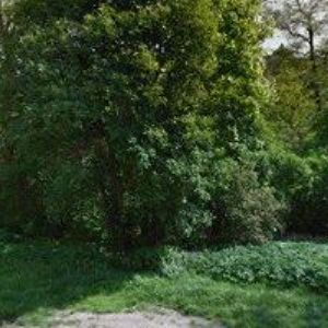 obrazek: avatar KALODA JAN
