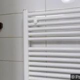 KONGREGACE SESTER NEPOSKVRNĚNÉHO POČETÍ PANNY MARIE III.ŘÁDU SV.FRANTIŠKA Z ASSISI