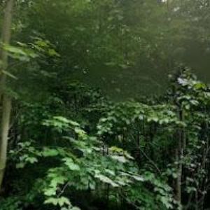 obrazek: avatar RYCHLEBSKÉ STEZKY