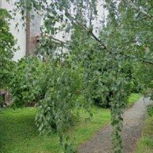 obrazek: avatar VYMAZAL PETR