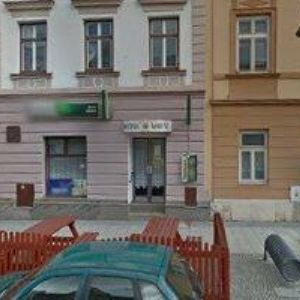 obrazek: avatar STAMBOLIDISOVÁ EVANTIA