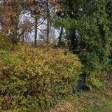 KOVOVÝROBA KONEČNÝ s.r.o.