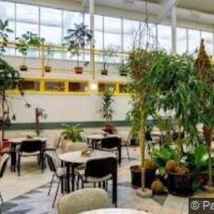 obrazek: avatar SŠ ZAHRADNICKÁ Ostrava