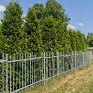 obrazek: avatar MŠ U Topolů