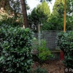 obrazek: avatar ZAŘÍZENÍ ŠKOLNÍHO STRAVOVÁNÍ OPAVA