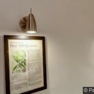 obrazek: avatar SLEZSKÝ GRUNT