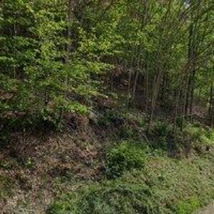 obrazek: avatar DVB-AF s.r.o.