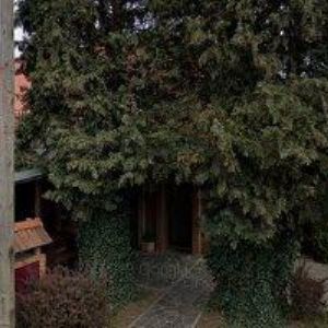 obrazek: avatar RESTAURACE STAMAR