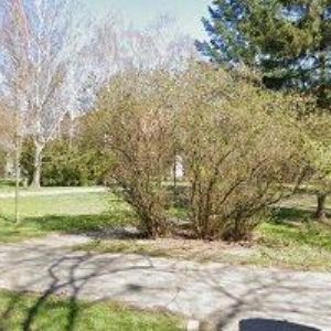 obrazek: avatar PROFOTA ZDENĚK