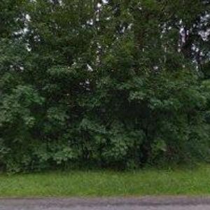 obrazek: avatar RESTAURACE A PIZZERIE BALITA