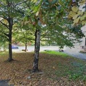 obrazek: avatar RESTAURACE JINDŘIŠKA