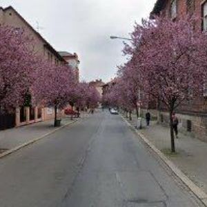 obrazek: avatar GASTROCENTRUM MIGO