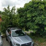 PIZZA MILÁNO-YELLITO CATERING & DRIVE