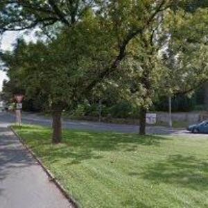 obrazek: avatar DLOUHÉ VIDLE s.r.o.