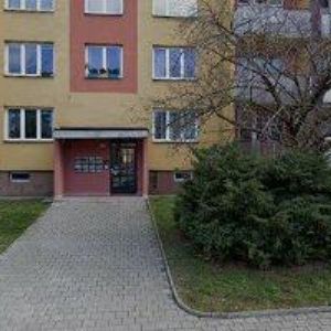 obrazek: avatar T-REX KAFE